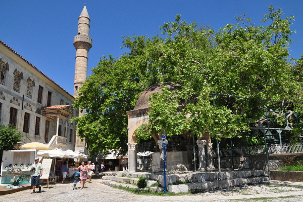 Platane des Hippocrates und Hadjii-Hassan-Moschee in Kos-Stadt